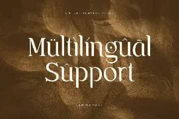 Gemini - Unique Playful Serif font