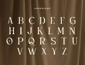 Gemini - Unique Playful Serif font