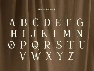 Gemini - Unique Playful Serif font