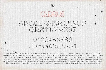 Cedrus Font