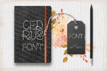 Cedrus Font