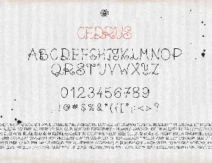 Cedrus Font