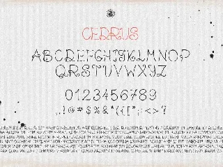 Cedrus Font