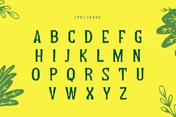 Yeah - Funny Modern Font