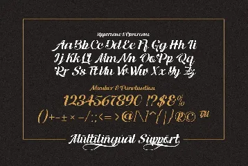 Ranup  Modern Script Font