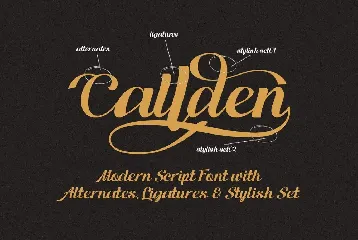 Ranup  Modern Script Font