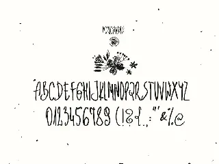 Moricandia Font