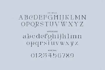 Manease - Elegant Serif Typeface font