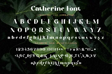 Catherine Serif New font