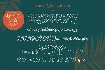 BELIZA - Script Family font