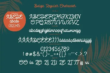 BELIZA - Script Family font