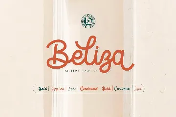 BELIZA - Script Family font