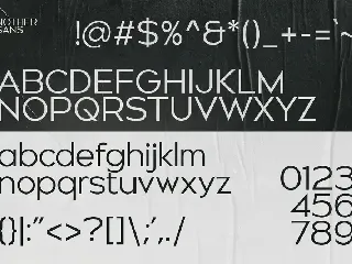 Nother Sans - Elegant Sans Serif font