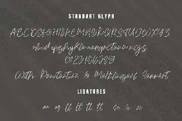 Ametta Signature  Font