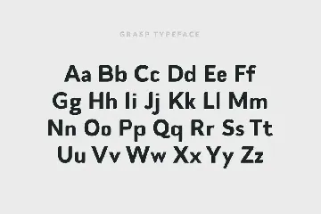 Grasp Typeface font