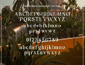 AMR Galisteo font