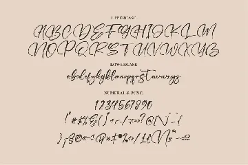 Refliottis Signature Font