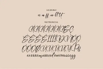 Refliottis Signature Font