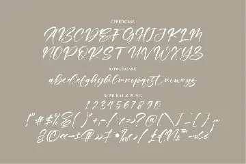 Raylight Signature Font