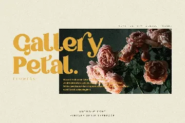 Anemone | Vintage Serif font