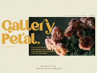 Anemone | Vintage Serif font