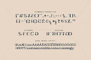 Maldiferse - Expressive Serif Font