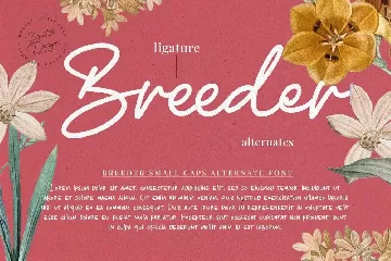 Breeder Script font