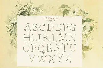 Petit Jardin font