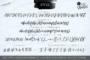 LIGHT SHUTTER - SVG FONT