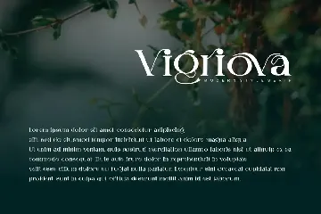 Vigriova - Serif Font