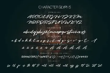 RAY SIGNATURE font