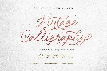 Les Palmiers - Handwritten Script font