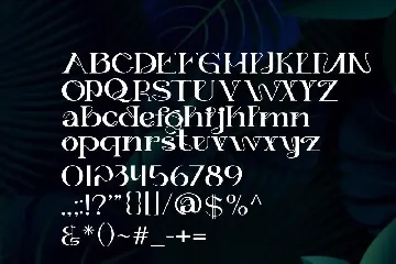 Mieraw - Elegant Font