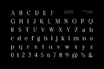 The Belonid - Cool Serif Fonts