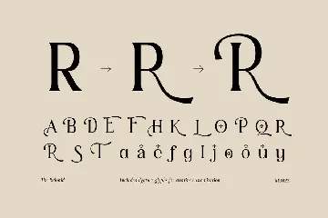 The Belonid - Cool Serif Fonts