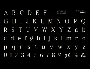 The Belonid - Cool Serif Fonts