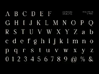 The Belonid - Cool Serif Fonts