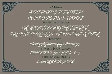 MANSTEIN - Handwritten script font