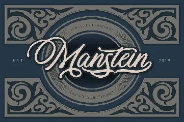 MANSTEIN - Handwritten script font