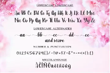 Into Paradise font