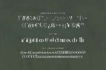 My Encounter - Expressive Serif Font