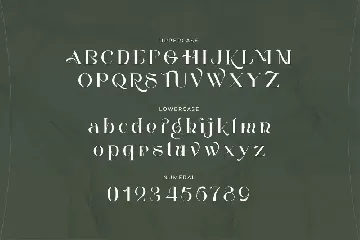 My Encounter - Expressive Serif Font