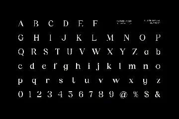 Vatenid Bimp - Modern Font