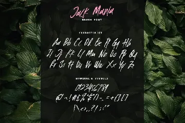 The JACK MANIA Brush Font