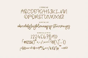 Haydenz Monoline Font