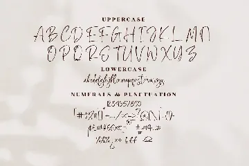 Fotalica Hoitman Signature Font