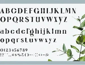 Wigan Modern Serif Typeface font