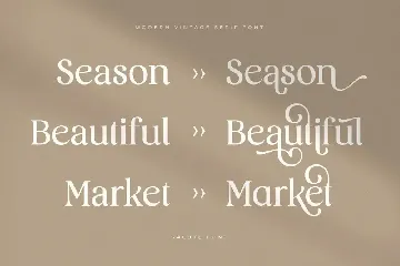 Salute - Modern Vintage Beauty Font