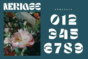 Meriase Bold Display Font