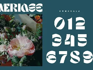 Meriase Bold Display Font